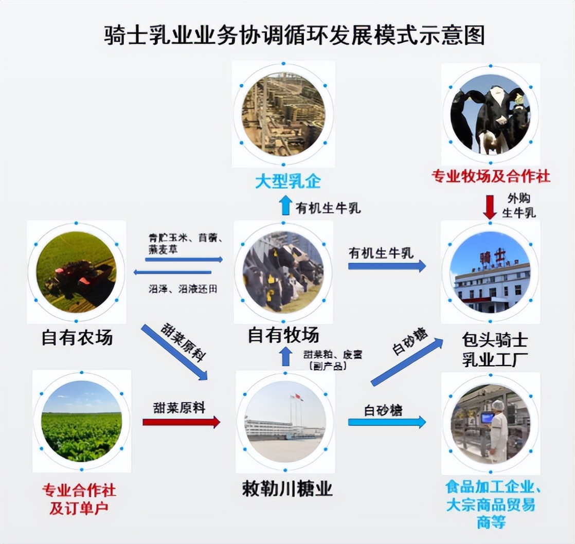 新股上市之骑士乳业:围绕奶牛养殖逐渐形成农牧乳糖一体化发展